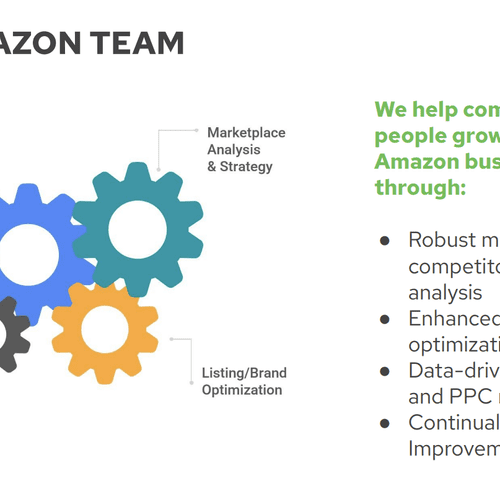 Our Amazon Team