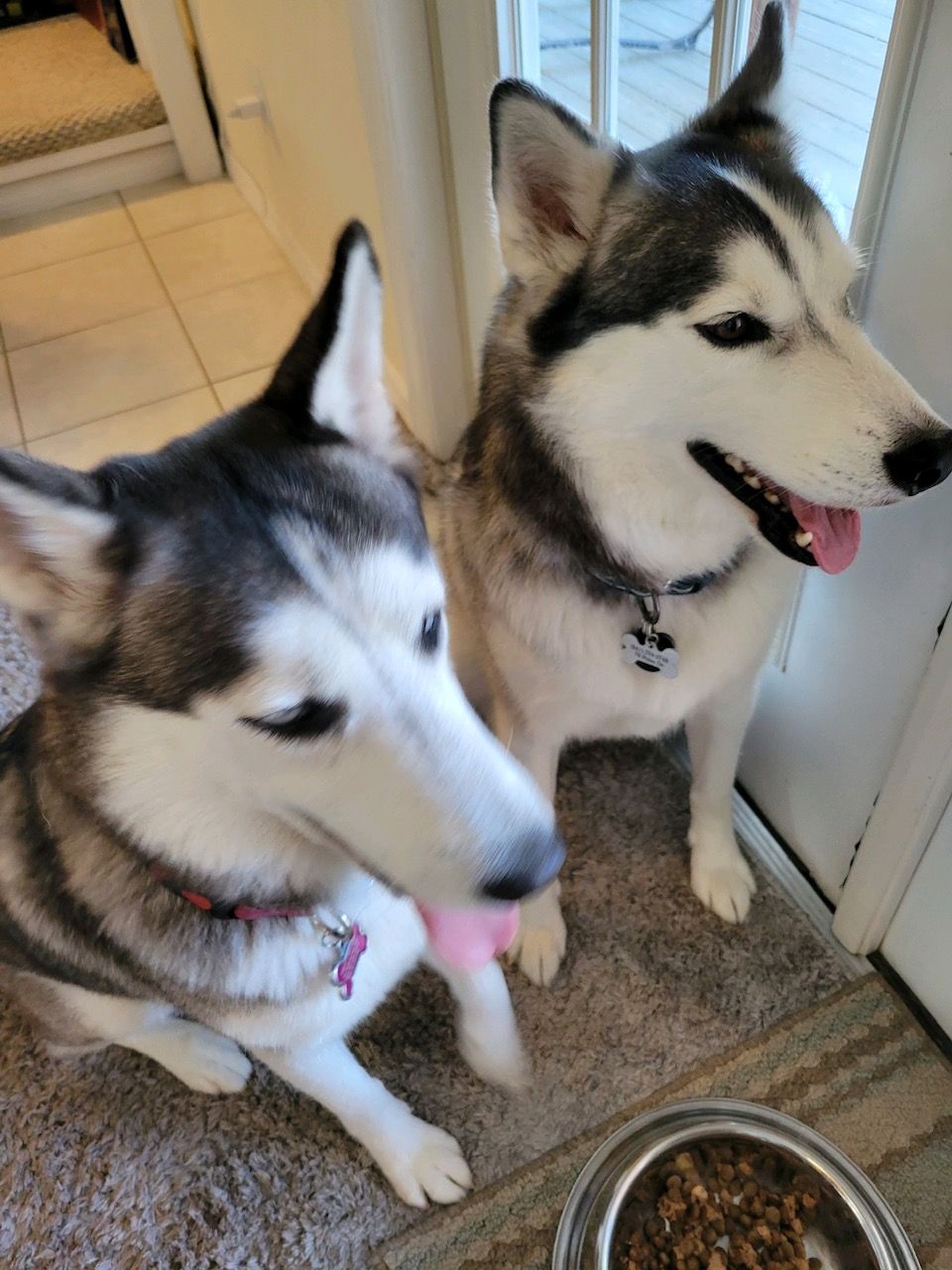 King & Skylar