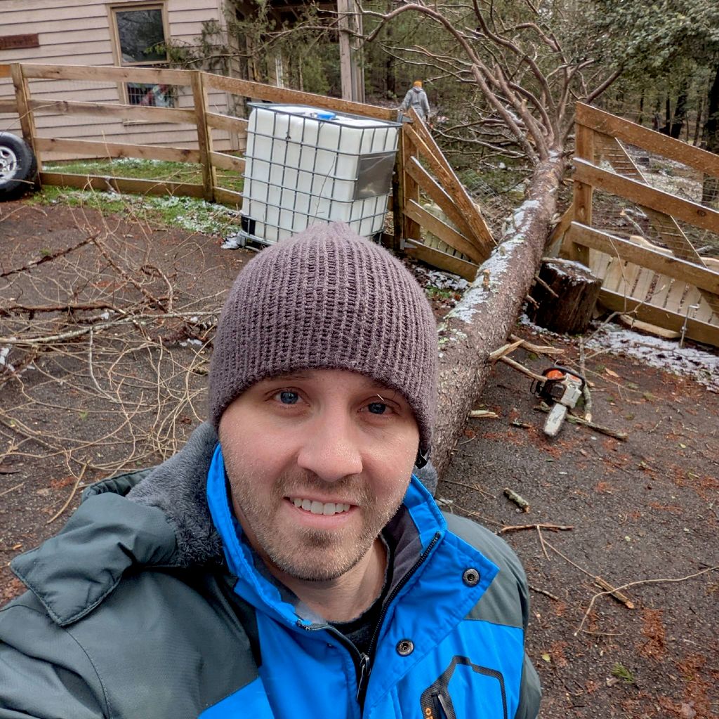 Cash Tree LLC