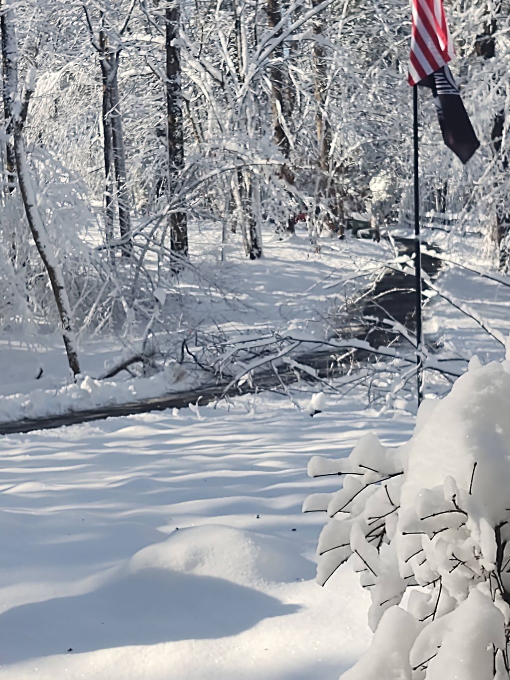 Great work clearing my driveway. Even has a backup