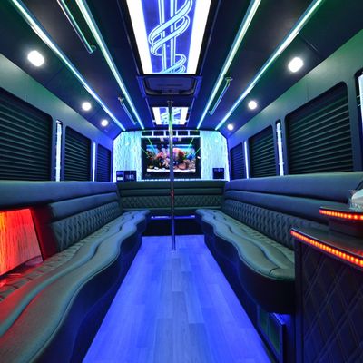 Avatar for Bayside Limo of Tampa