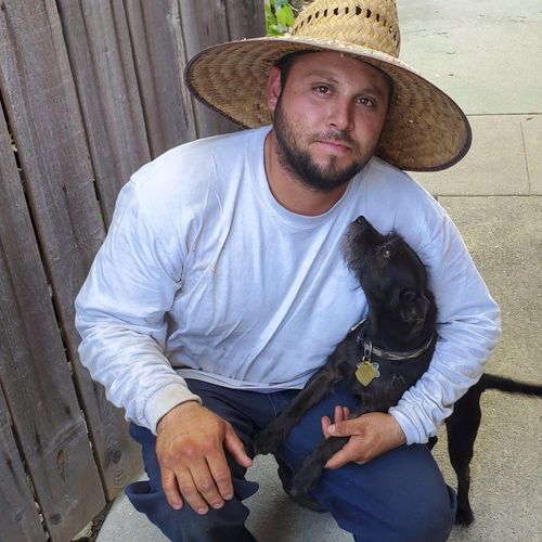 Erasmo's Gardening Service