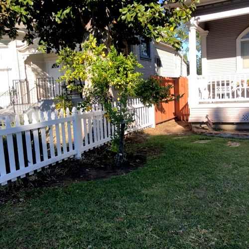 removed old fence and installed white picket fence