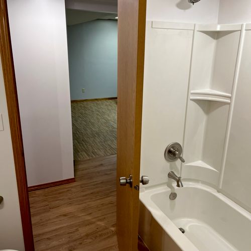 Eden Prairie basement bathroom