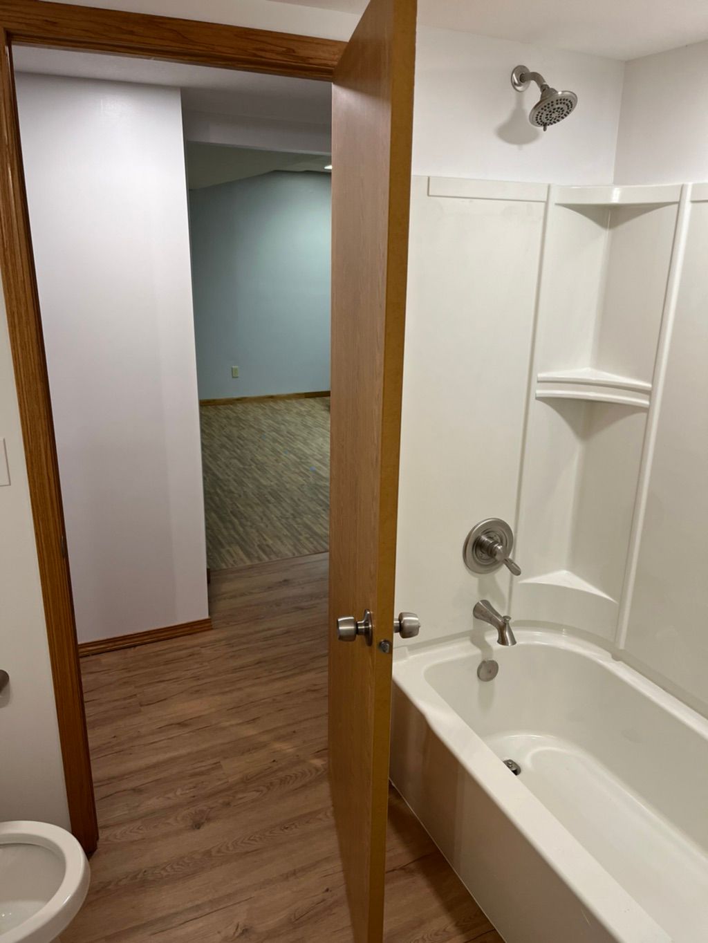 Eden Prairie basement bathroom