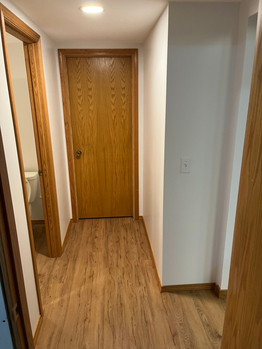 Eden Prairie basement bathroom 
