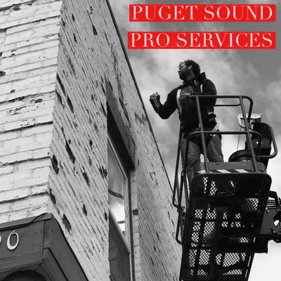 Avatar for Puget Sound Pro Services LLC