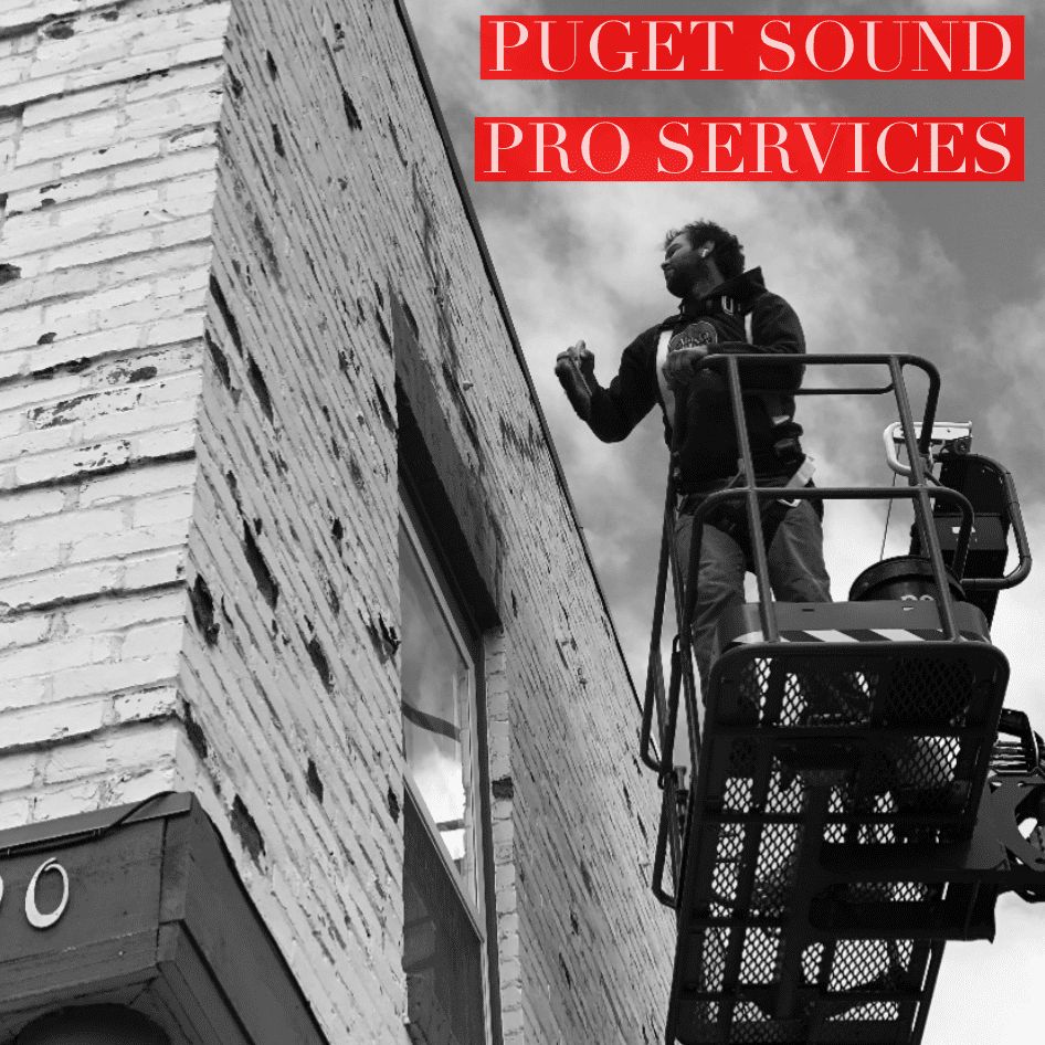 Puget Sound Pro Services LLC
