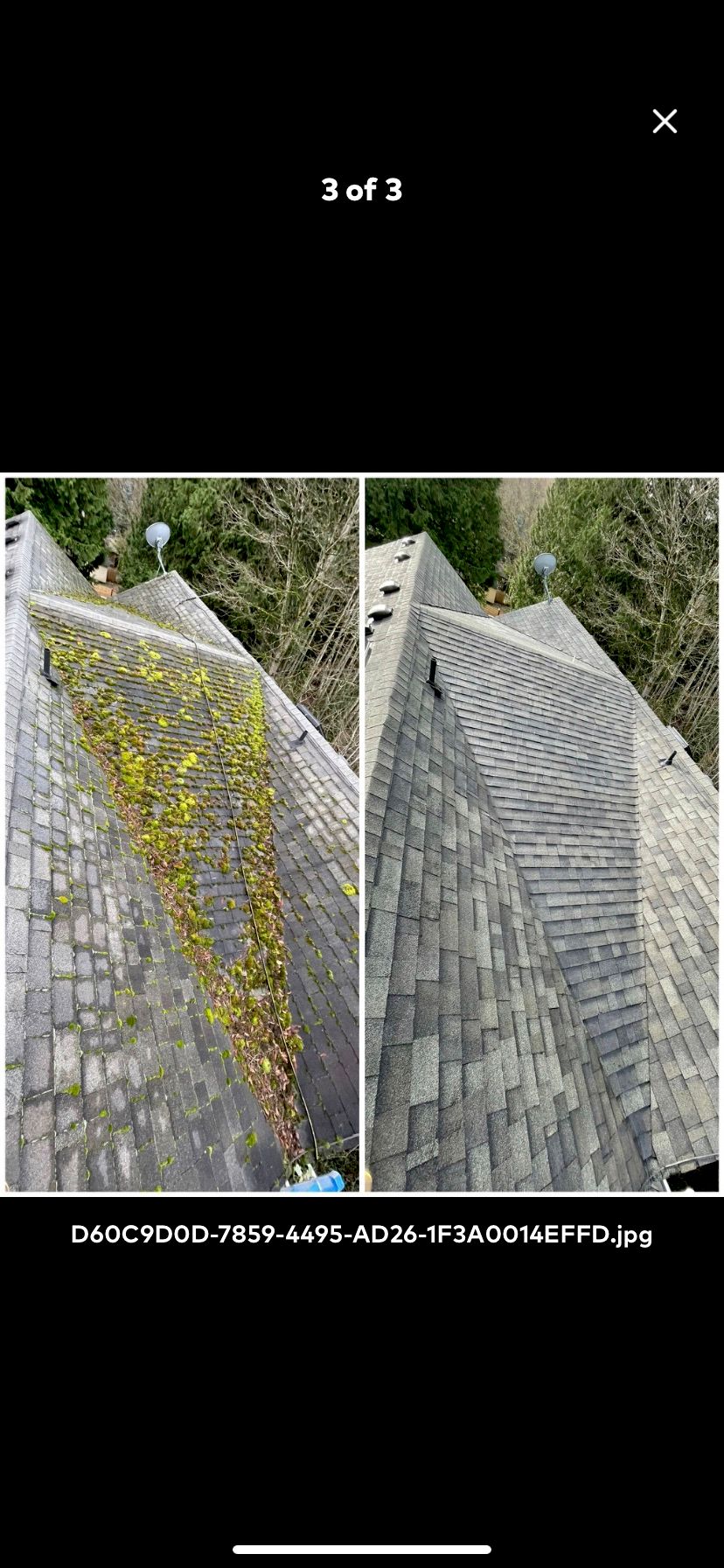 Customer photos