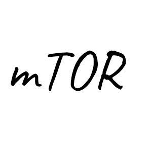 Avatar for MTOR Fitness LLC Metabolic Testing