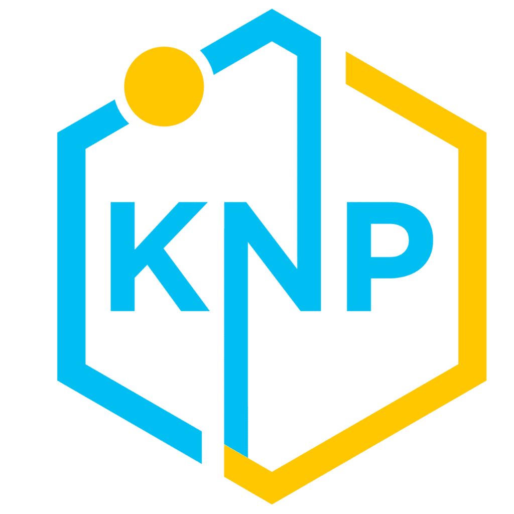 KNP Designs I Logo & Website Design