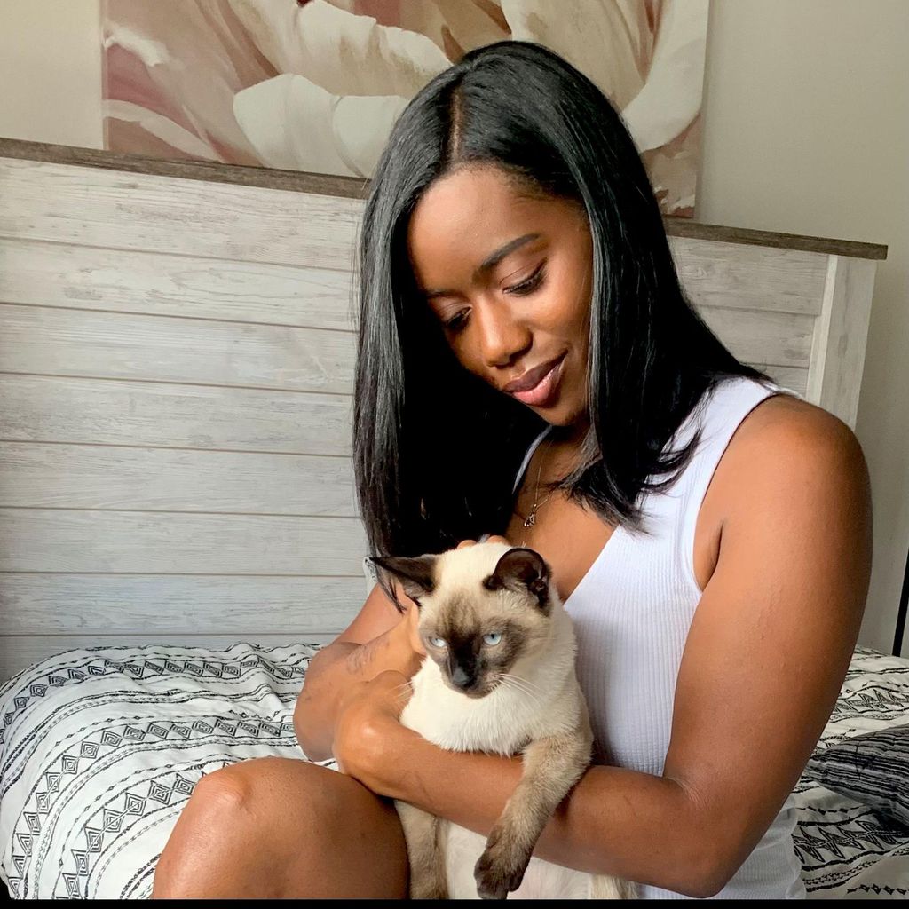 Cool Cats Pet Sitting Service