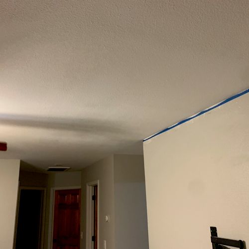 Tony did a fantastic job on my ceiling repair. He 