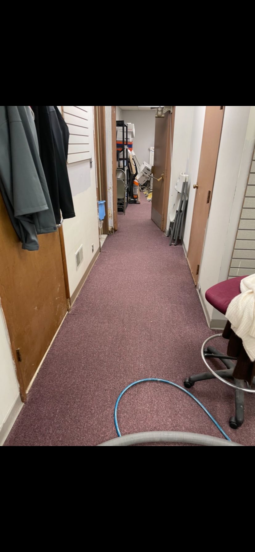 We clean any type of carpet 