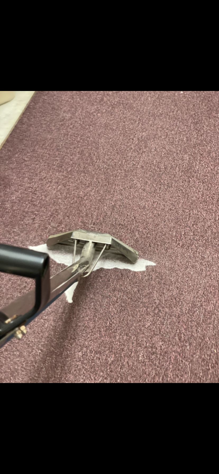 Washing the carpet to from any stains 