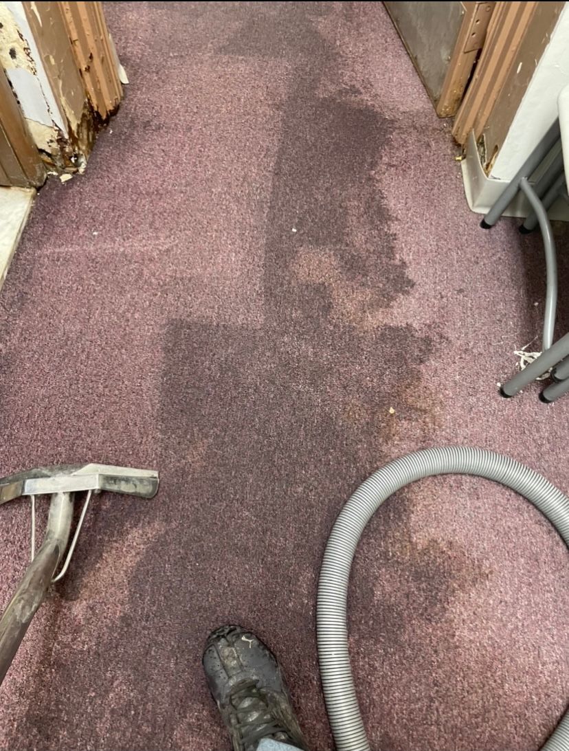 Clean all stains off 