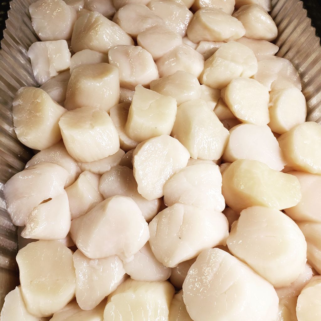 Scallops