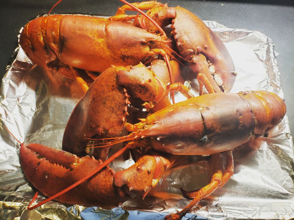 Lobster