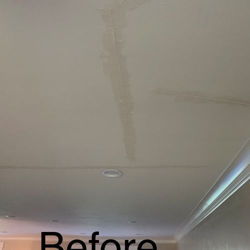 Jose fixed some substantial cracks in our ceiling,
