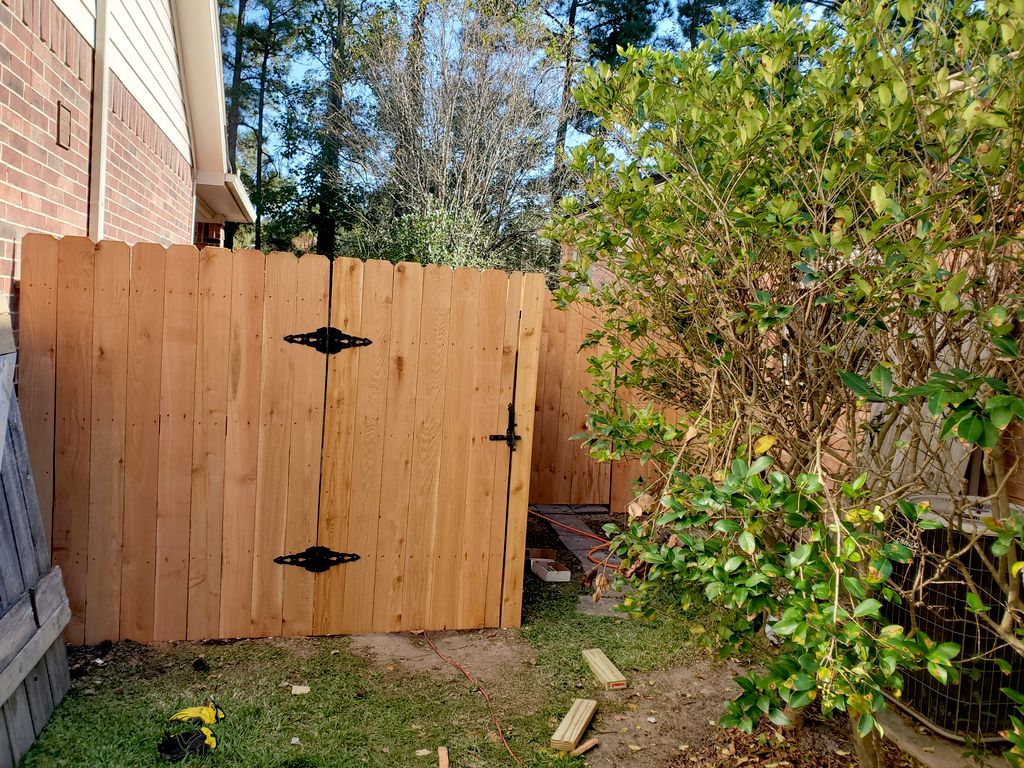 New Gate and Fencing
