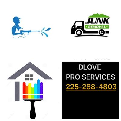 Avatar for DLOVE PRO SERVICES LLC