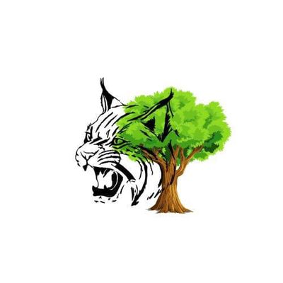 Avatar for The Cat Landscaping and Tree Services