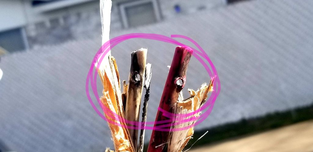 Customer photos