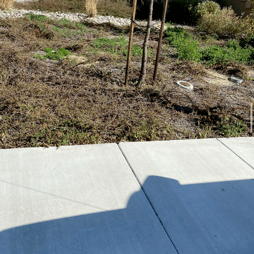Featured Projects