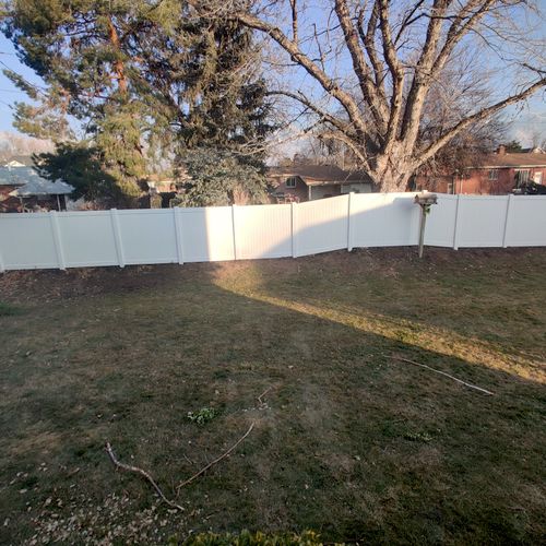 Moleni put up the vinyl fence in our backyard. He 