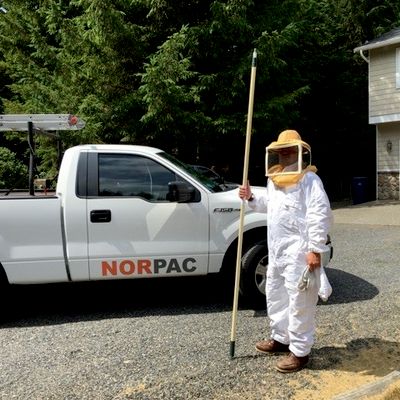 Avatar for Norpac Pest and Insulation Services