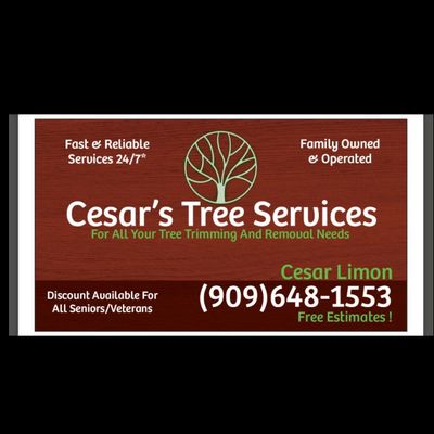 Avatar for Cesar’s Tree Services