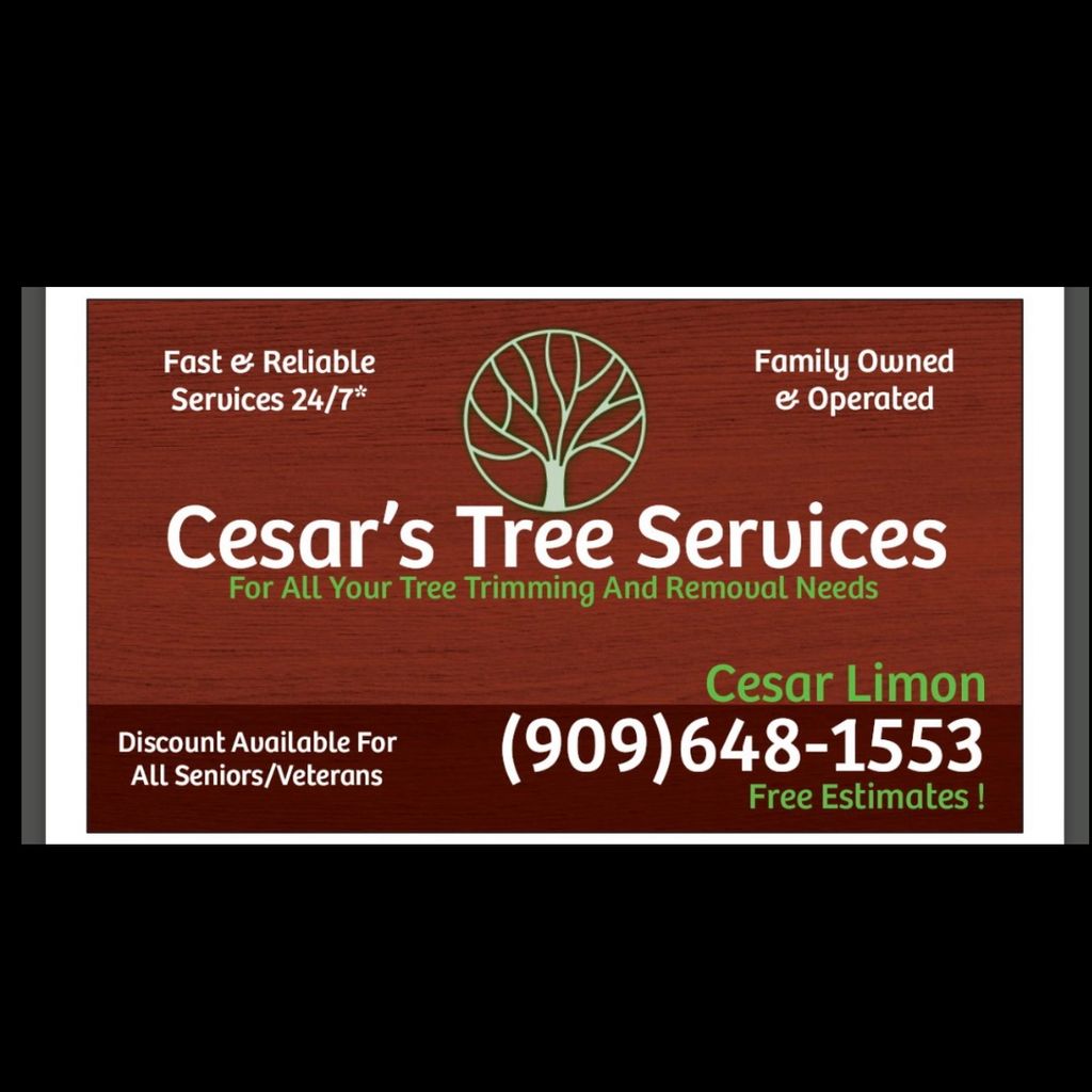 Cesar’s Tree Services