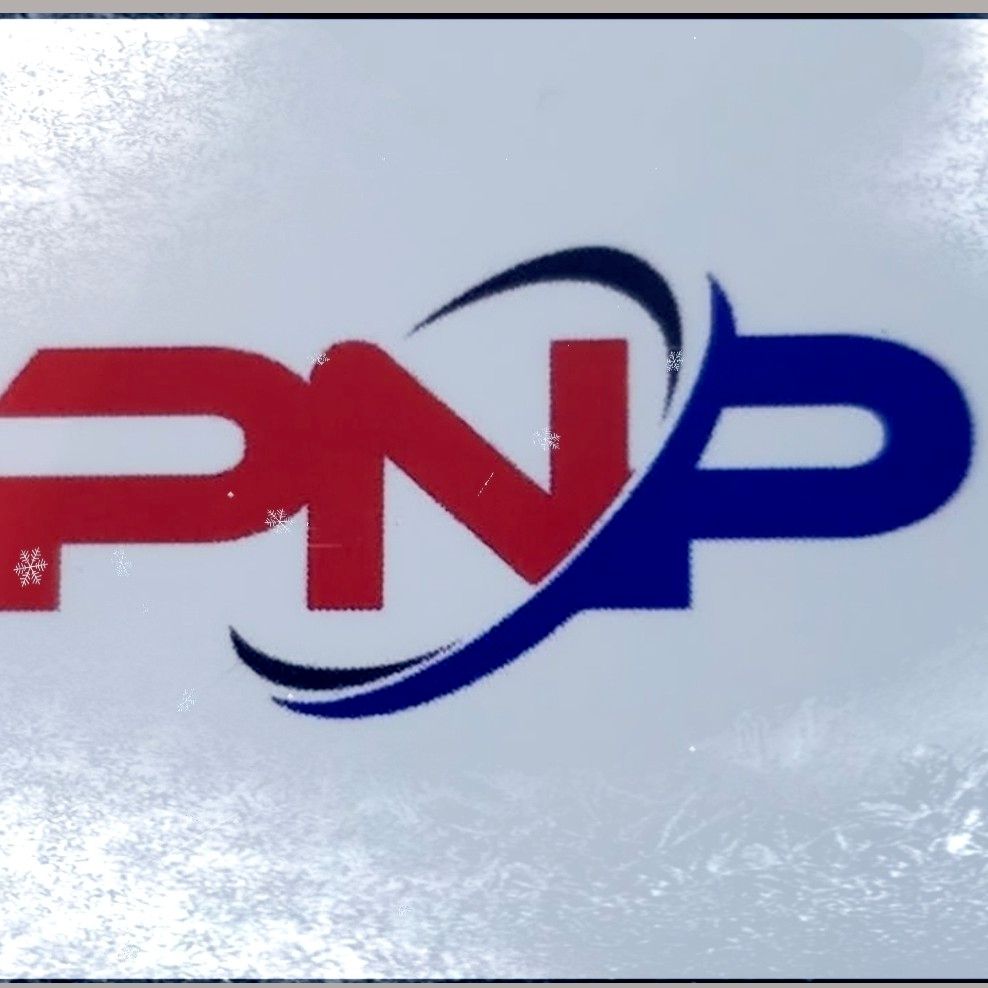 PNP COMPANY LLC