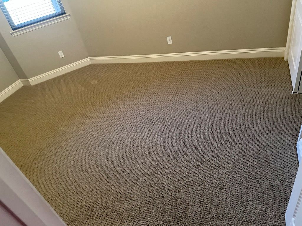 Dylan did an AMAZING job on our carpets! He was ve