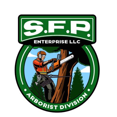 Avatar for S.F.P. Enterprise LLC