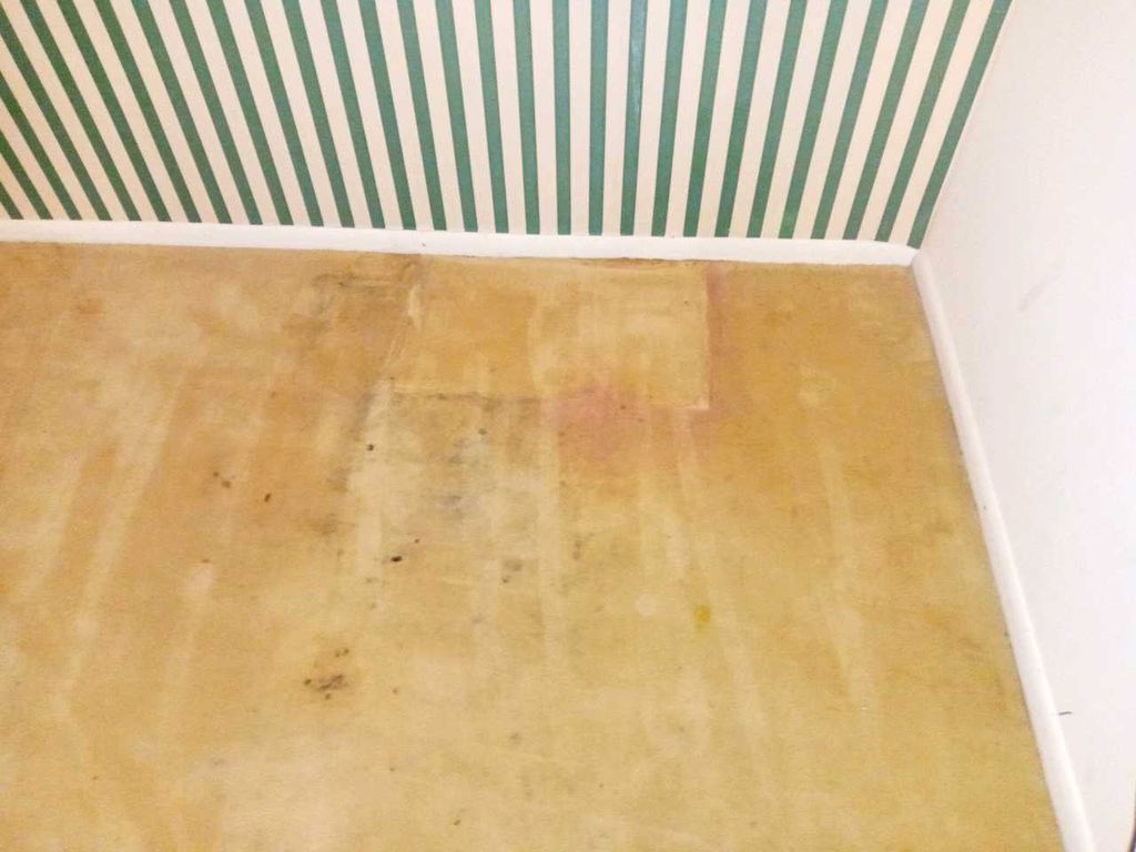 before deep carpet cleaning 