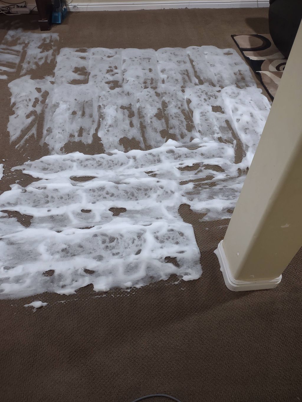 The dry foam carpet clean. Dry foam is better for 