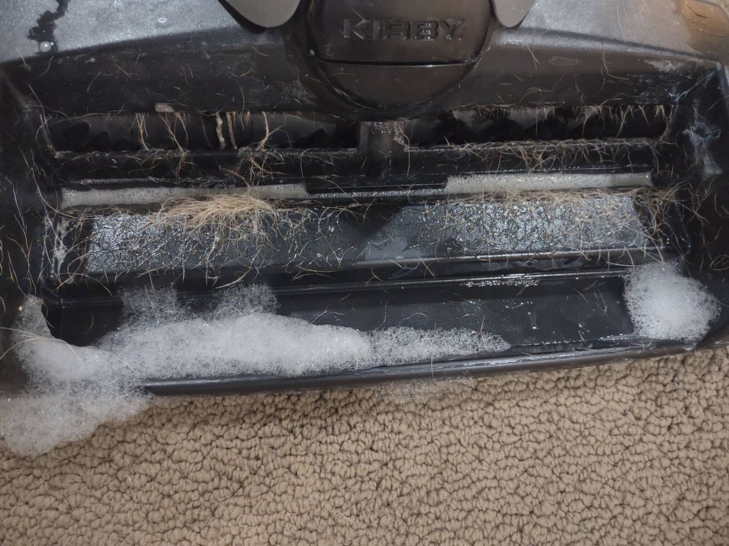 This is what the carpet clean picked up AFTER 3 va