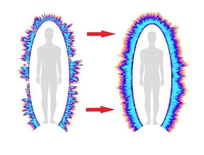 The Human Energy Fields