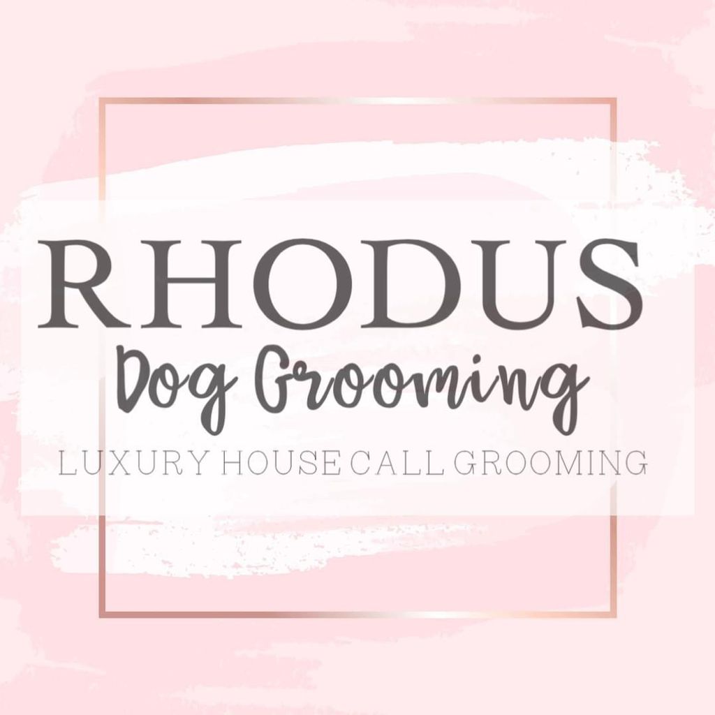 Rhodus Dog Grooming