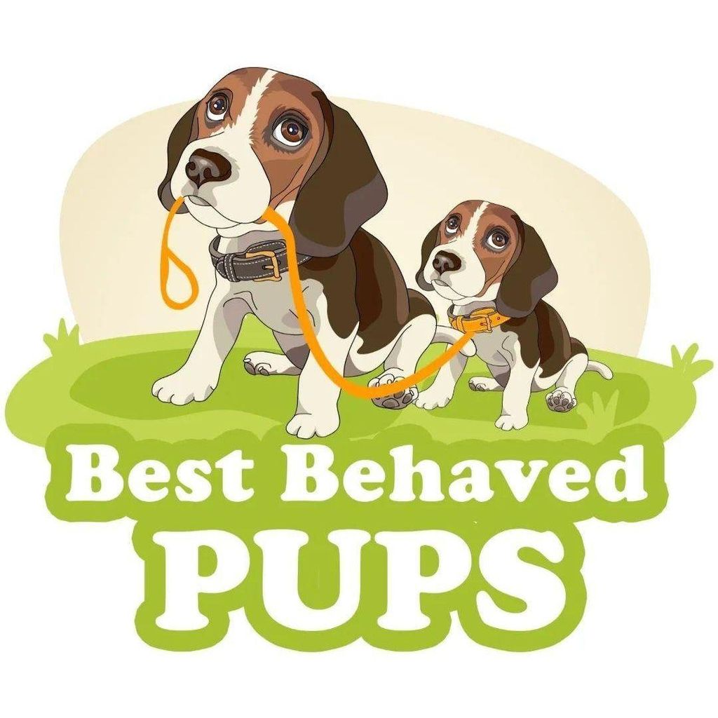 Best Behaved Pups