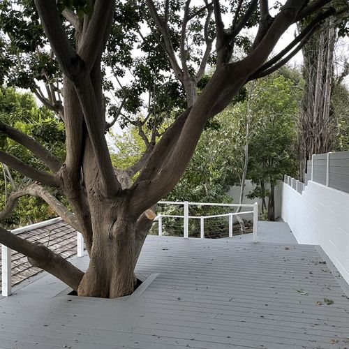 Trex decking - surrounding a tree. Bespoke install