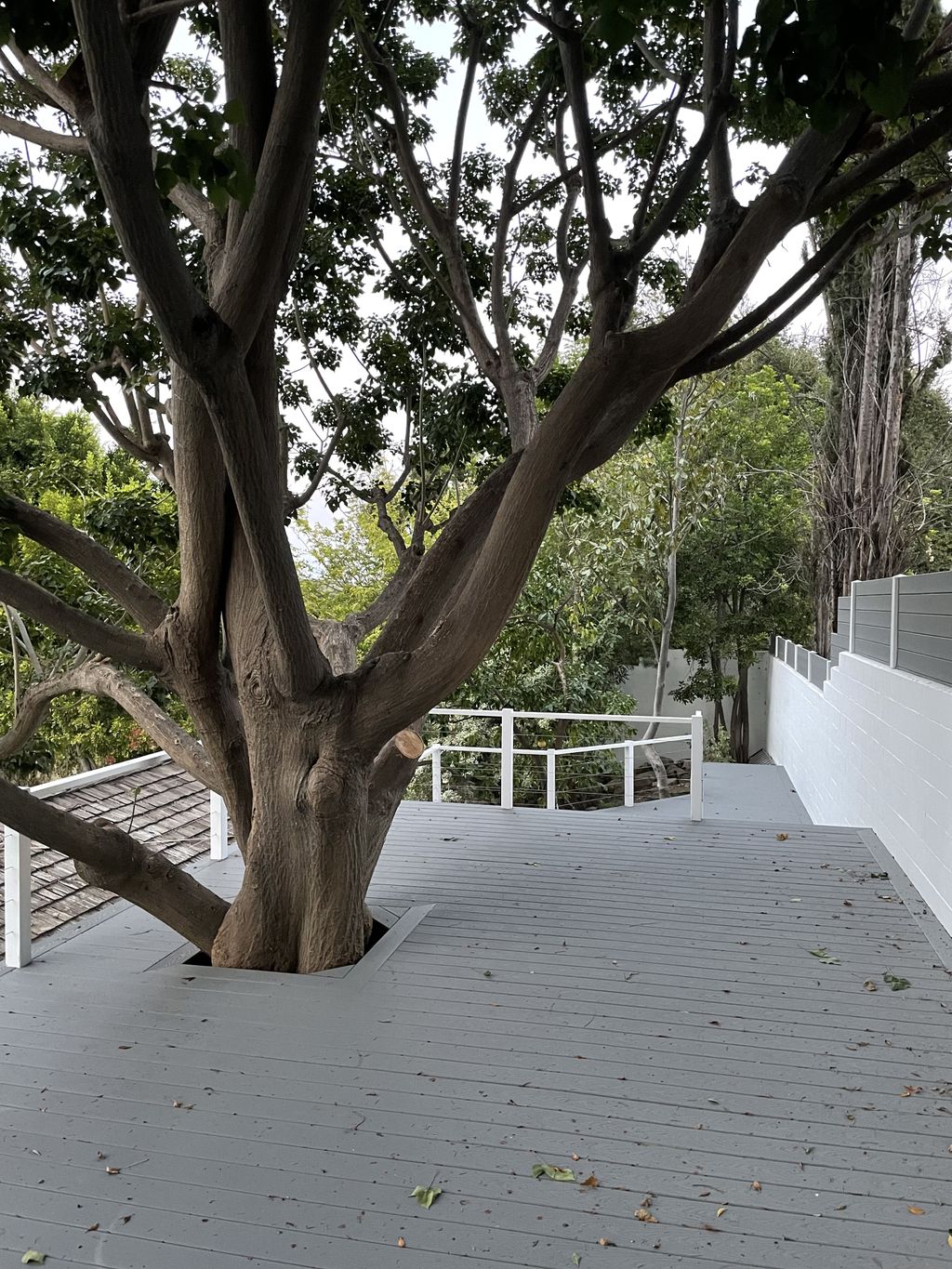 Trex decking - surrounding a tree. Bespoke install