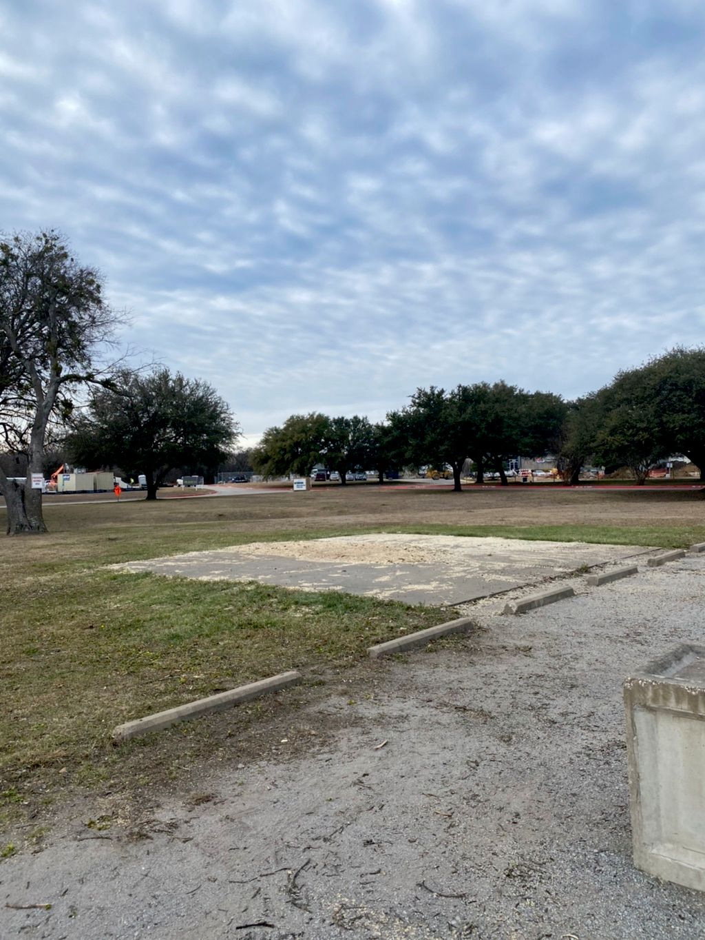 After tree removal 