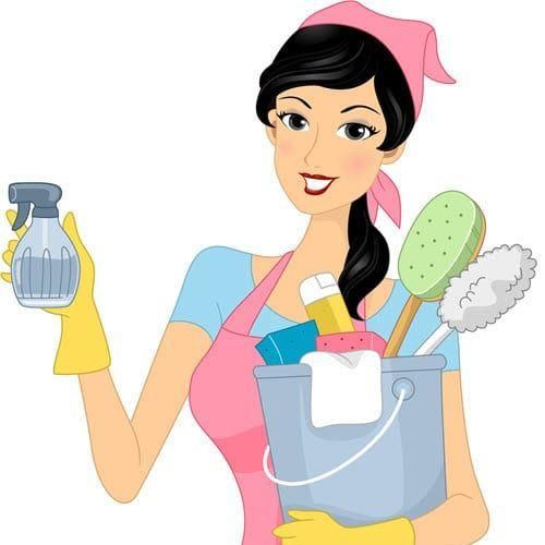 Bay Area  House Cleaning