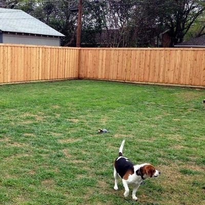 Avatar for The Colorado Fence Company
