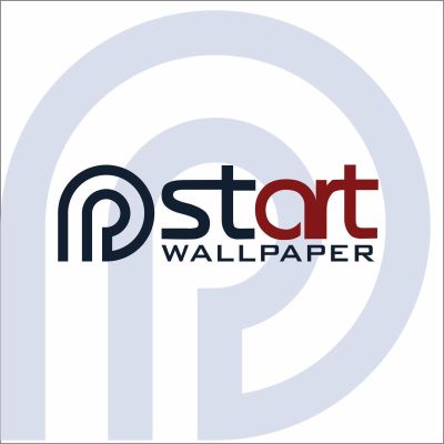 Wallpaper Installer Projects, Austin & San Antonio