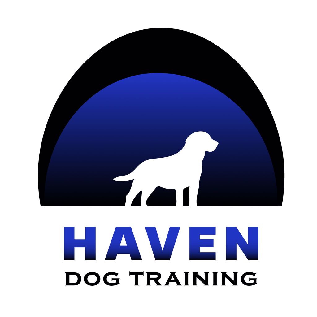 Haven Dog Training