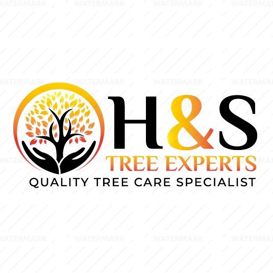 H&S Tree Experts