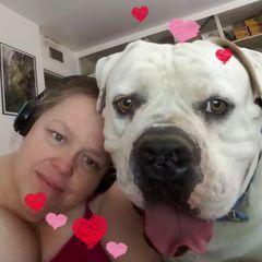 pro avatar